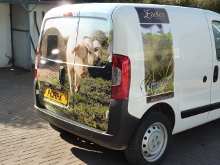 rear van wrap Oxford Kidlington