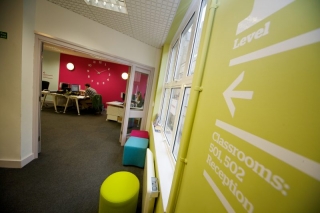 directional wall vinyl, individual cut lettering